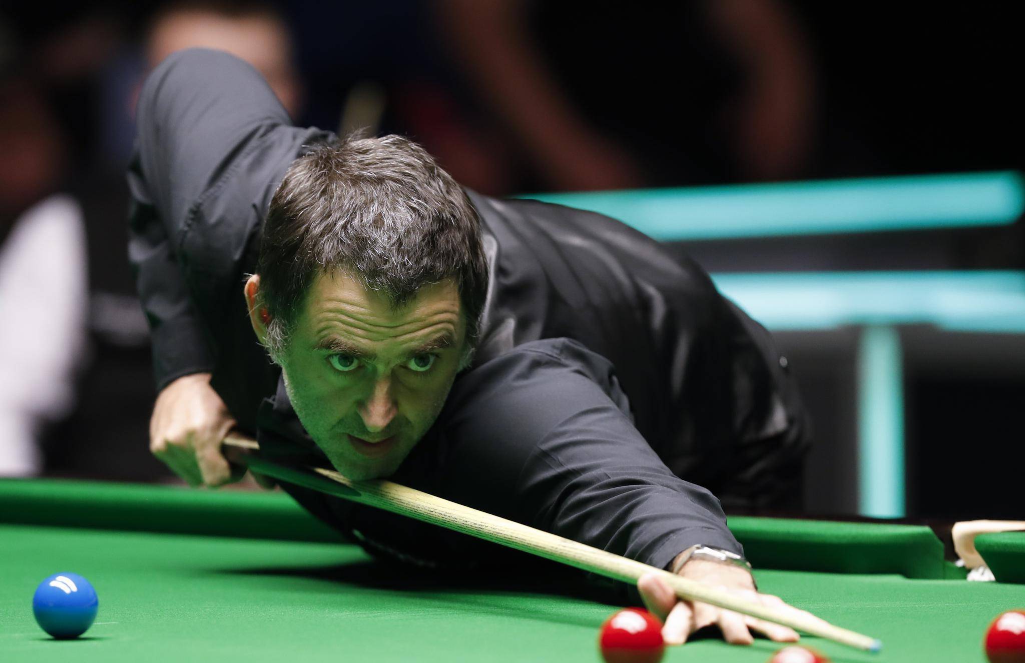 他们的目的 他们的目的