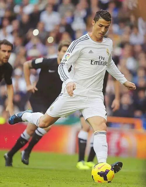 竞技相结合 竞技相结合